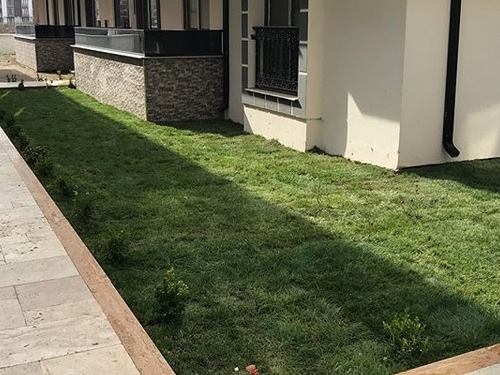 Sakarya Doğal Rulo Çim Yapan Yer