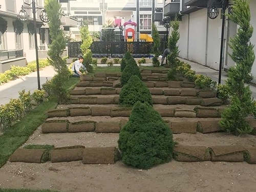 Sakarya Peyzaj Çim Bahçe İşleri