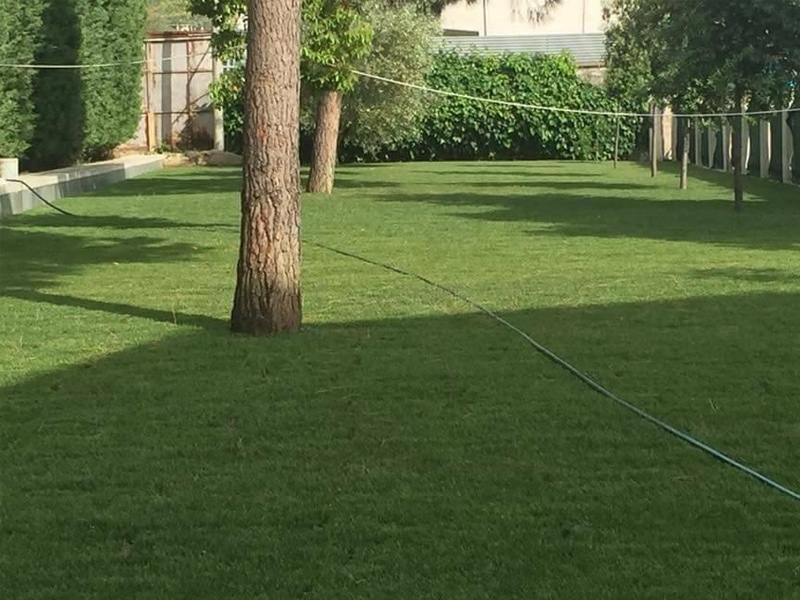 Çim Ekimi İçin En Uygun Zaman