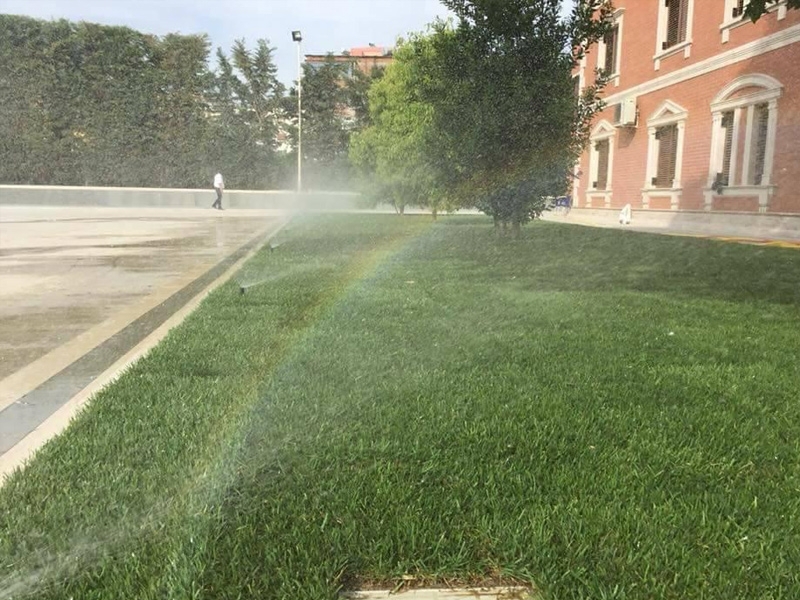  Hazır rulo çimler için hangi gübreler kullanılmalı?